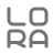 LoRA Generation 