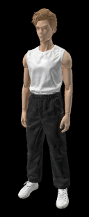 Introducing Tripo3D H3.1 Multiview-to-3D on WaveSpeedAI