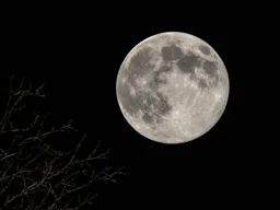 Full moon