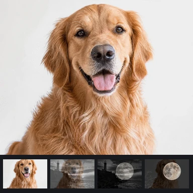 Photo slideshow