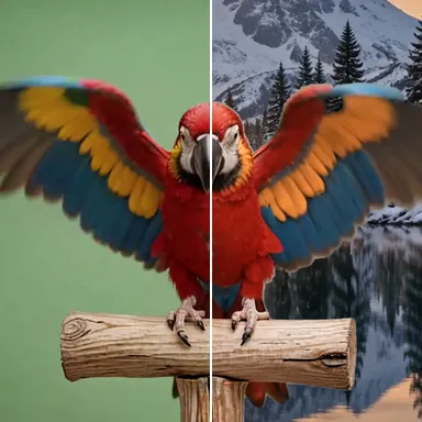 Parrot