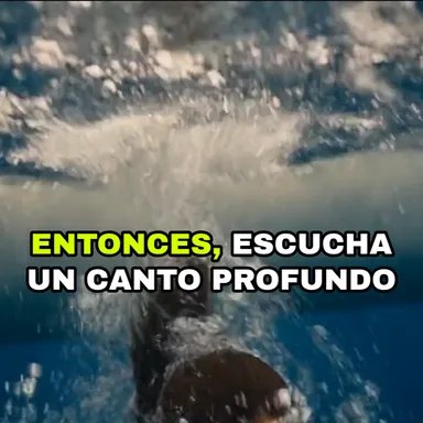 Ocean dive